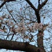 ヒメ日記 2026/03/27 07:00 投稿 のあ 妻天 尼崎店