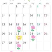 ヒメ日記 2026/03/19 19:20 投稿 星月桜(ほしづきさくら) 鶯谷ナンバーワン