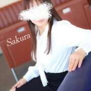 ヒメ日記 2026/03/29 23:10 投稿 星月桜(ほしづきさくら) 鶯谷ナンバーワン