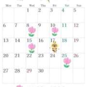 ヒメ日記 2026/04/08 21:54 投稿 星月桜(ほしづきさくら) 鶯谷ナンバーワン