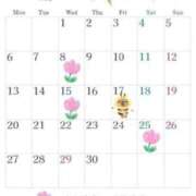 ヒメ日記 2026/04/10 21:20 投稿 星月桜(ほしづきさくら) 鶯谷ナンバーワン