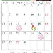 ヒメ日記 2026/04/13 23:50 投稿 星月桜(ほしづきさくら) 鶯谷ナンバーワン