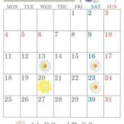ヒメ日記 2026/05/07 19:20 投稿 星月桜(ほしづきさくら) 鶯谷ナンバーワン