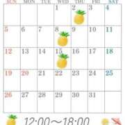 星月桜(ほしづきさくら) 7月予定🍉 鶯谷ナンバーワン