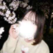 うい 君と見たい夜桜🌸 JDリフレ