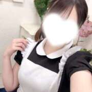 ヒメ日記 2026/05/11 12:44 投稿 うい JDリフレ