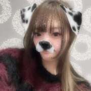 ヒメ日記 2026/04/11 23:02 投稿 らこ PRISM(都城)