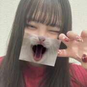 ヒメ日記 2026/02/28 20:41 投稿 ほまれ 姫コレクション 高崎前橋店