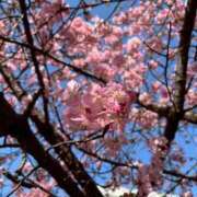 ヒメ日記 2026/02/28 13:49 投稿 あやね ぽっちゃりデリヘル倶楽部