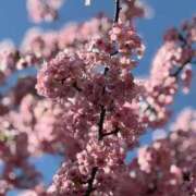 ヒメ日記 2026/03/07 16:29 投稿 あやね ぽっちゃりデリヘル倶楽部