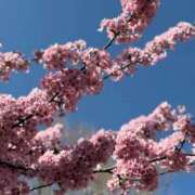 ヒメ日記 2026/03/17 17:09 投稿 あやね ぽっちゃりデリヘル倶楽部