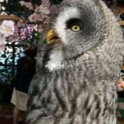 ヒメ日記 2026/03/01 21:42 投稿 ひそか 女の子がセルフで撮影する店！！成田デリヘル『生パネル』伝説