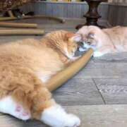 ヒメ日記 2026/03/02 03:36 投稿 ひそか 女の子がセルフで撮影する店！！成田デリヘル『生パネル』伝説