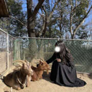 ヒメ日記 2026/03/02 20:36 投稿 ひそか 女の子がセルフで撮影する店！！成田デリヘル『生パネル』伝説