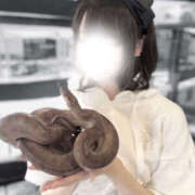 ヒメ日記 2026/03/03 19:03 投稿 ひそか 女の子がセルフで撮影する店！！成田デリヘル『生パネル』伝説