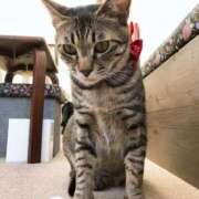 ヒメ日記 2026/03/31 02:03 投稿 ひそか 女の子がセルフで撮影する店！！成田デリヘル『生パネル』伝説