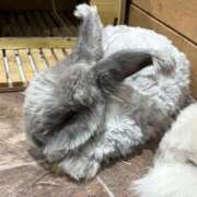 ヒメ日記 2026/03/31 04:27 投稿 ひそか 女の子がセルフで撮影する店！！成田デリヘル『生パネル』伝説