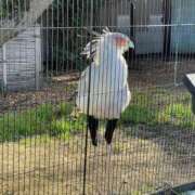 ヒメ日記 2026/03/31 22:27 投稿 ひそか 女の子がセルフで撮影する店！！成田デリヘル『生パネル』伝説