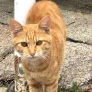 ヒメ日記 2026/04/01 00:42 投稿 ひそか 女の子がセルフで撮影する店！！成田デリヘル『生パネル』伝説