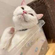 ヒメ日記 2026/03/08 01:52 投稿 はな 手コキ＆オナクラ 大阪はまちゃん 谷九店