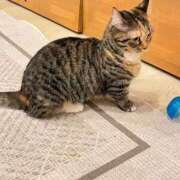 ヒメ日記 2026/03/09 22:52 投稿 はな 手コキ＆オナクラ 大阪はまちゃん 谷九店