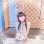 ヒメ日記 2026/07/24 09:03 投稿 君乃たむ【premium】 Minetto(ミネット)