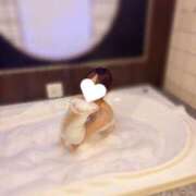 ヒメ日記 2026/08/21 17:53 投稿 桃園えいみ【premium】 Minetto(ミネット)