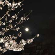 桐谷りい 出勤‎🤍 コウテイ