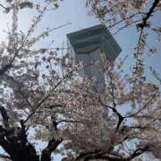 ヒメ日記 2026/05/15 14:05 投稿 桐谷りい コウテイ