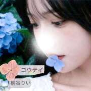 ヒメ日記 2026/06/18 09:15 投稿 桐谷りい コウテイ