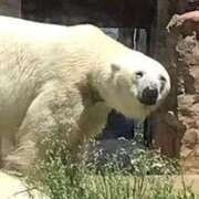 なぎさ 雨やばい ビデオdeはんど 横浜校