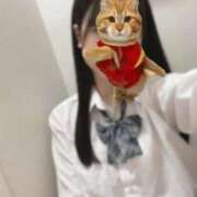 ヒメ日記 2026/04/14 18:15 投稿 なぎさ ビデオdeはんど 横浜校