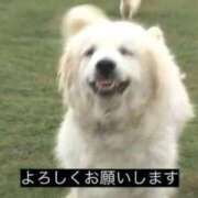なぎさ 変更 ビデオdeはんど 横浜校