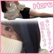 はる 4月の出勤日 Paradis-パラディ-