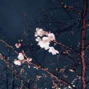 ヒメ日記 2026/03/28 12:41 投稿 増田ななみ 癒したくて千葉店～日本人アロマ性感～