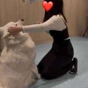 ヒメ日記 2026/03/08 12:42 投稿 あや SPIN(スピン)