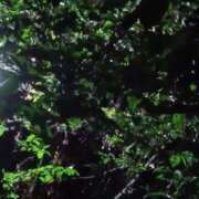 あさみ 一重は…… 素人妻達☆マイふぇらレディー