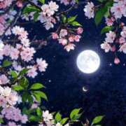 しづる K様ありがとうございました 水戸人妻花壇