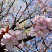 ヒメ日記 2026/03/03 22:57 投稿 広瀬花純 お姉さんCLUB