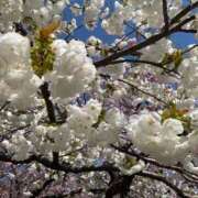 ヒメ日記 2026/03/18 07:18 投稿 広瀬花純 お姉さんCLUB