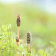 ヒメ日記 2026/04/03 21:34 投稿 広瀬花純 お姉さんCLUB