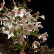 ヒメ日記 2026/04/06 23:04 投稿 広瀬花純 お姉さんCLUB