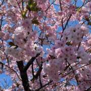 ヒメ日記 2026/04/15 06:57 投稿 広瀬花純 お姉さんCLUB