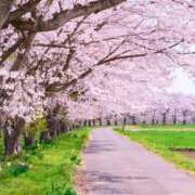 ヒメ日記 2026/04/18 13:04 投稿 広瀬花純 お姉さんCLUB