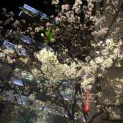 ヒメ日記 2026/04/01 00:30 投稿 森川まい 渋谷エオス