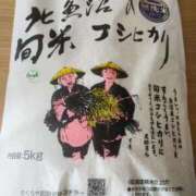 ヒメ日記 2026/04/19 06:57 投稿 ゆうき 熟女家 堺東店