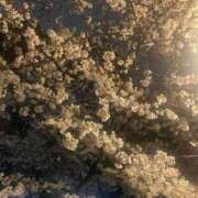 ヒメ日記 2026/04/13 09:20 投稿 あすか 熟女の風俗最終章 沼津店