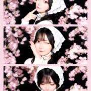 ヒメ日記 2026/04/11 01:06 投稿 まな【童顔ゆるふわ美少女】 STELLA TOKYO－ステラトウキョウ－