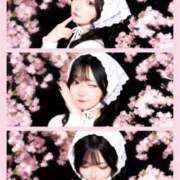 ヒメ日記 2026/04/14 01:07 投稿 まな【童顔ゆるふわ美少女】 STELLA TOKYO－ステラトウキョウ－