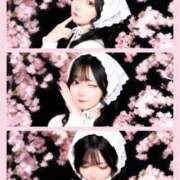 ヒメ日記 2026/04/28 02:54 投稿 まな【童顔ゆるふわ美少女】 STELLA TOKYO－ステラトウキョウ－